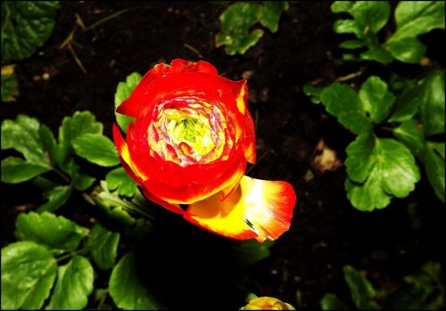 Fotografia de jorge352 - Galeria Fotografica: principiante - Foto: 