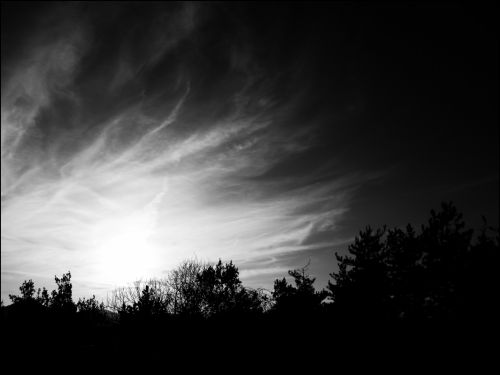 Fotografia de jorge352 - Galeria Fotografica: principiante - Foto: 