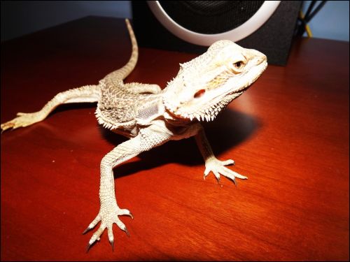 Fotografia de jorge352 - Galeria Fotografica: principiante - Foto: 