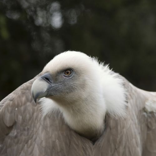 Fotografia de Kurassy - Galeria Fotografica: Naturalmente - Foto: 