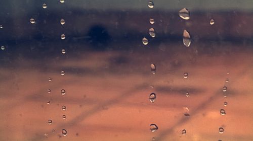 Fotografia de Eugenia13 - Galeria Fotografica: Detalles - Foto: 