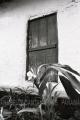 Foto de  Annie - Galería: Panam Colonial - Fotografía: Puerta de Antao