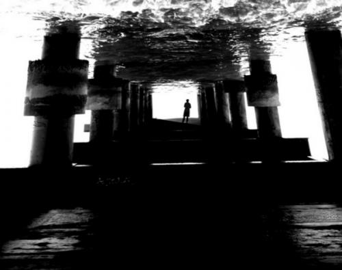 Fotografia de fotopatagonia - Galeria Fotografica: S-e-N-s-A-c-I-o-N-e-S - Foto: 