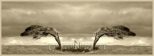 Fotografia de fotopatagonia - Galeria Fotografica: S-e-N-s-A-c-I-o-N-e-S - Foto: desolacion