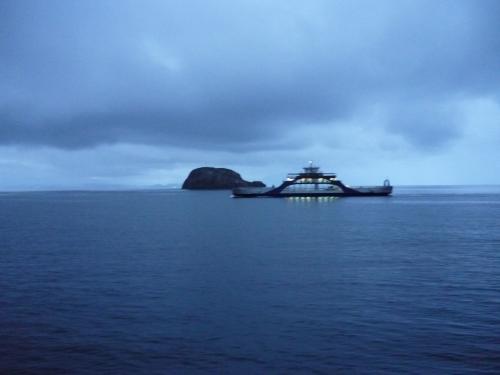 Fotografia de FBi.06 - Galeria Fotografica: Naturaleza viva - Foto: 