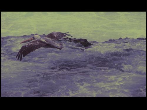 Fotografia de xlookk - Galeria Fotografica: Paisajes 2.0! - Foto: 								