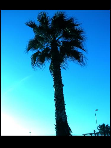 Fotografia de xlookk - Galeria Fotografica: Paisajes 2.0! - Foto: 								