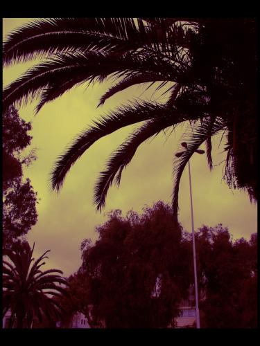 Fotografia de xlookk - Galeria Fotografica: Paisajes 2.0! - Foto: 								