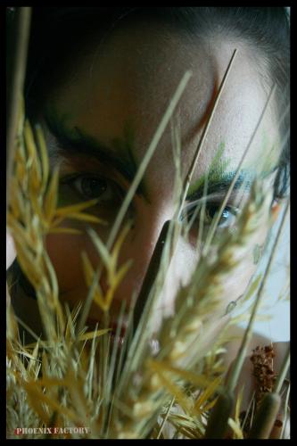 Fotografia de Phoenix Factory - Galeria Fotografica: Oto�o - Foto: Raquel 2							