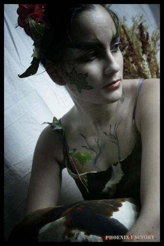 Fotografia de Phoenix Factory - Galeria Fotografica: Oto�o - Foto: Raquel 3								