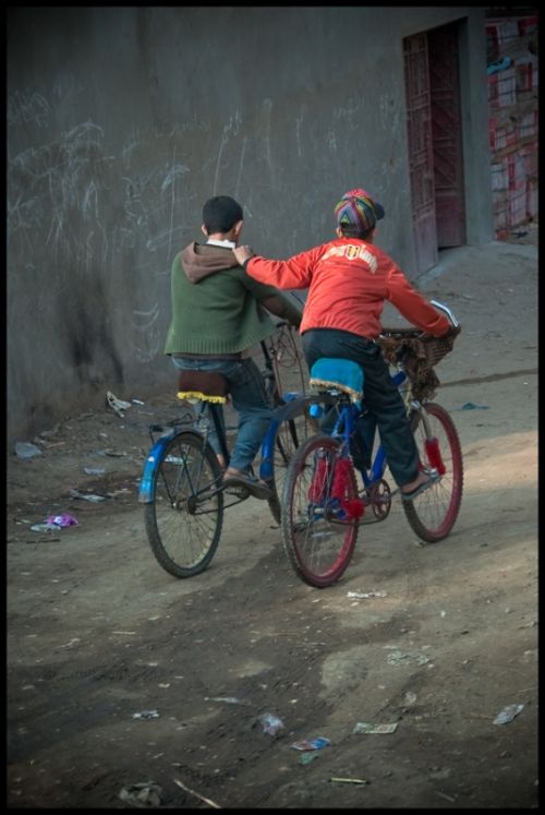 Fotografia de Ivn - Galeria Fotografica: Reportaje de Egipto - Foto: amistad sobre ruedas.