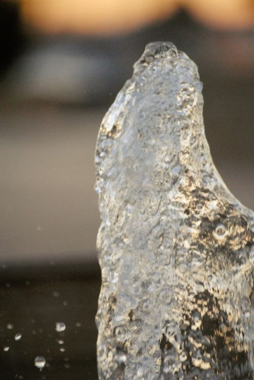 Fotografia de Fotografo de Bodas - Galeria Fotografica: Alzira - Foto: 