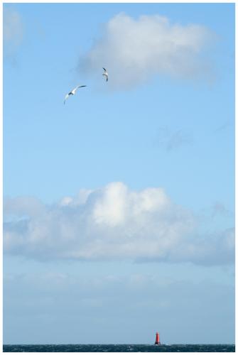 Fotografia de Mateusz - Galeria Fotografica: La Costa - Foto: 1 (2)