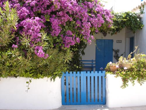 Fotografia de torres and company - Galeria Fotografica: Formentera - Foto: pueblo