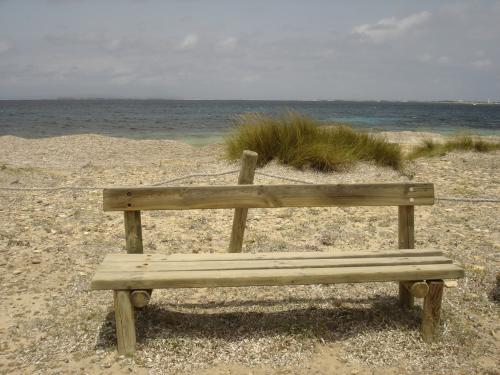 Fotografia de torres and company - Galeria Fotografica: Formentera - Foto: La espera