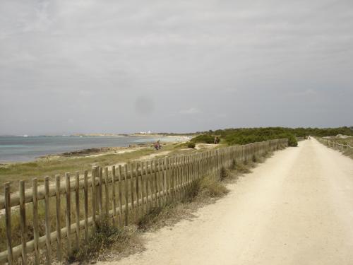 Fotografia de torres and company - Galeria Fotografica: Formentera - Foto: Paseo