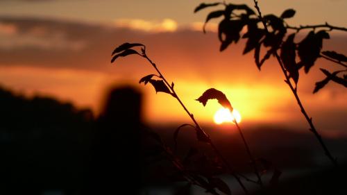 Fotografia de Melchor - Galeria Fotografica: Paisajes - Foto: Jugando al escondite 2007