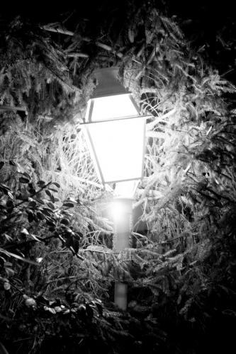 Fotografia de Ricky - Galeria Fotografica: RINCONES - Foto: refugio							