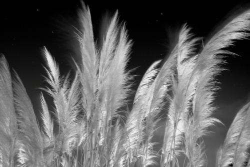 Fotografia de Ricky - Galeria Fotografica: RINCONES - Foto: *magia nocturna*							