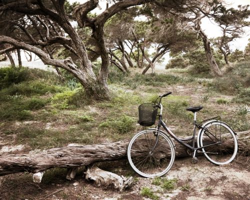 Fotografia de JaMS - Javier Melero - Galeria Fotografica: Tras el relato [escenarios]. - Foto: 