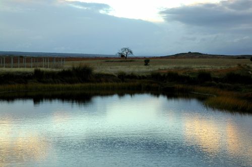 Fotografia de pcardiel - Galeria Fotografica: Atardecer en Oto�o - Foto: 