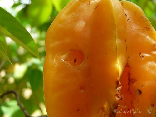 Fotografia de Rodrigo Calvo Productions - Galeria Fotografica: Naturaleza - Foto: 