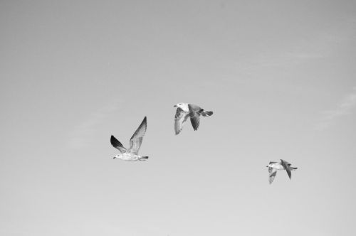 Fotografia de manu - Galeria Fotografica: Dique seco - Foto: 