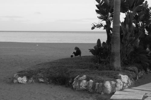 Fotografia de manu - Galeria Fotografica: Dique seco - Foto: 