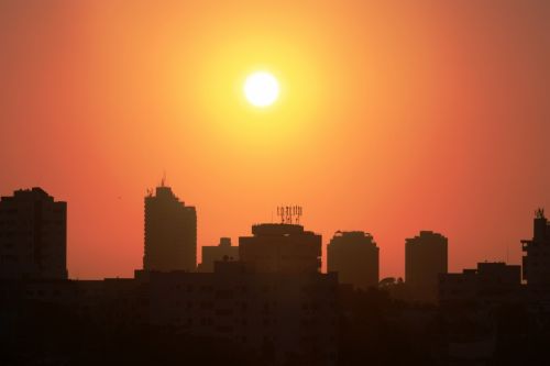 Fotografia de TATHAN NOVOA - Galeria Fotografica: AVES COSTERAS - Foto: 