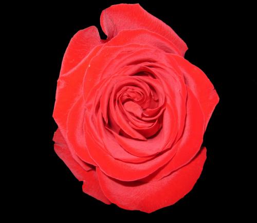 Fotografia de fedello - Galeria Fotografica: Dunas de corrubedo - Foto: Rosa