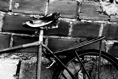 Fotografia de arteRVG - Galeria Fotografica: mi tierra - Foto: el paso de los aos