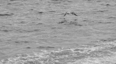 Fotografia de David - Galeria Fotografica: Blanes - Foto: 