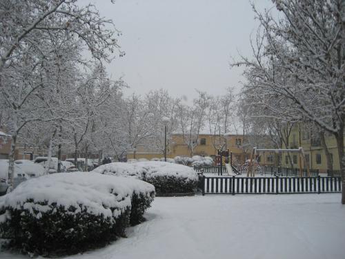 Fotografia de alex castro - Galeria Fotografica: Naturaleza - Foto: 		nevada en madrid						