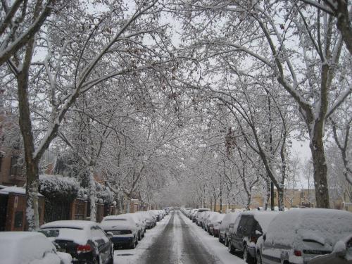 Fotografia de alex castro - Galeria Fotografica: Naturaleza - Foto: 		nevada en madrid						