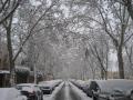 Fotos de alex castro -  Foto: Naturaleza - 		nevada en madrid						