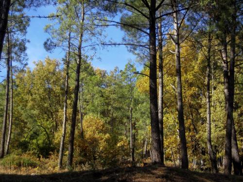 Fotografia de alex castro - Galeria Fotografica: Naturaleza - Foto: 		gredos						