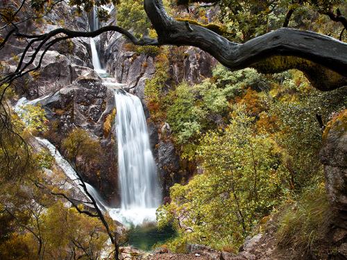 Fotografia de alvaro - Galeria Fotografica: naturaleza viva. - Foto: bosque encantado