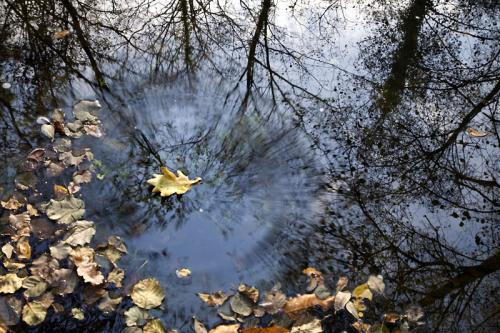 Fotografia de alvaro - Galeria Fotografica: naturaleza viva. - Foto: reflejos