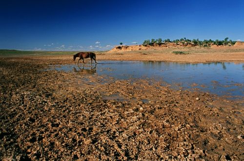 Fotografia de Conchi Martnez - Galeria Fotografica: Mongolia - Foto: 