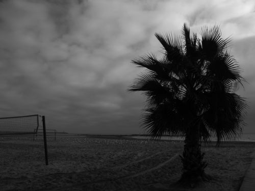 Fotografia de Federico Curcio - Galeria Fotografica: Un poco de todo - Foto: 