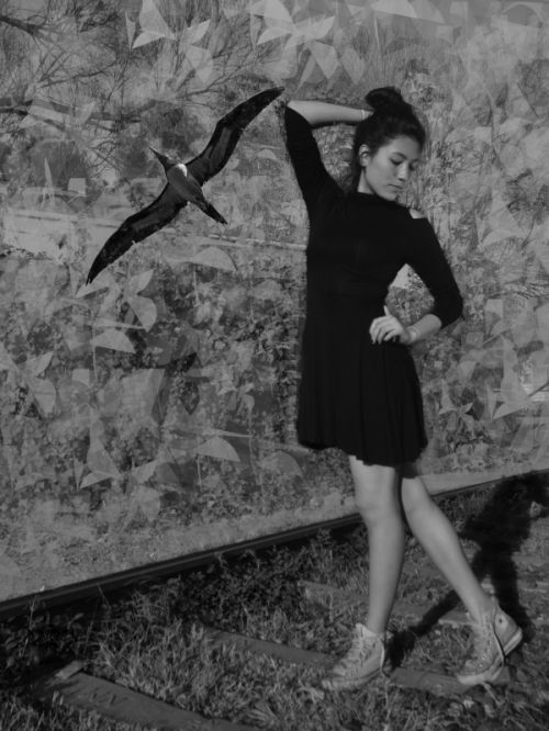 Fotografia de gatunota - Galeria Fotografica: b/n - Foto: 