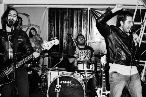 Fotografia de gatunota - Galeria Fotografica: b/n - Foto: 