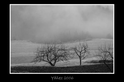 Fotografia de Yez - Galeria Fotografica: Natura viva e morta - Foto: Soledad fra