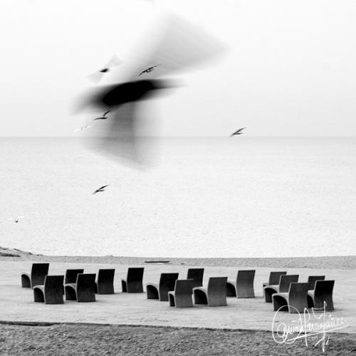 Fotografia de Yez - Galeria Fotografica: Natura viva e morta - Foto: Los pjaros