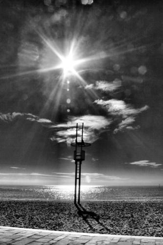 Fotografia de Yez - Galeria Fotografica: Natura viva e morta - Foto: Saltandome las reglas. Cara al sol