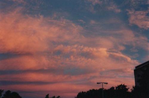 Fotografia de Daniela - Galeria Fotografica: Cielos - Foto: Cielorosa