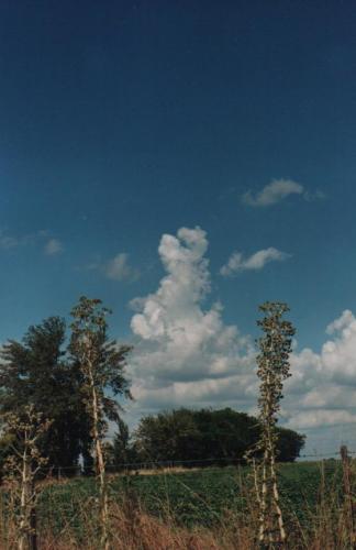 Fotografia de Daniela - Galeria Fotografica: Cielos - Foto: Entrada