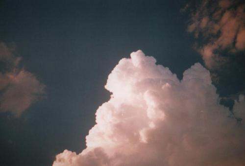 Fotografia de Daniela - Galeria Fotografica: Cielos - Foto: Frutilla a la crema