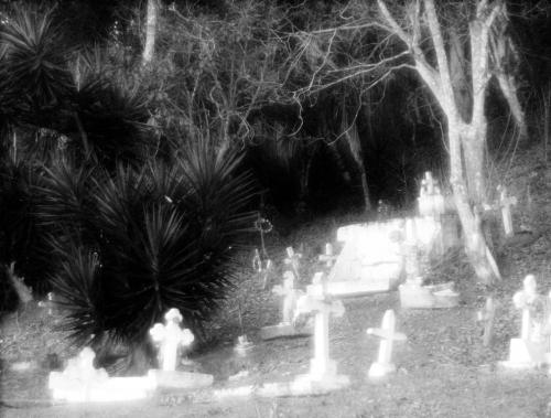 Fotografia de Juan Francisco Vazquez - Galeria Fotografica: Estero de Platano - Foto: limites								