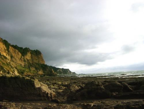 Fotografia de Juan Francisco Vazquez - Galeria Fotografica: Estero de Platano - Foto: infinito							